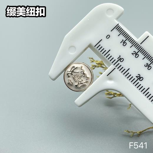F541(整包购买) 商品图5