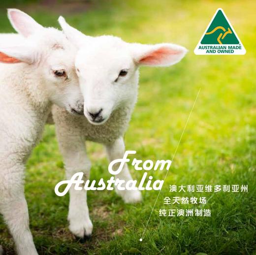 【原装进口】澳大利亚EasyRest经典羊毛四季通用春秋被 商品图0