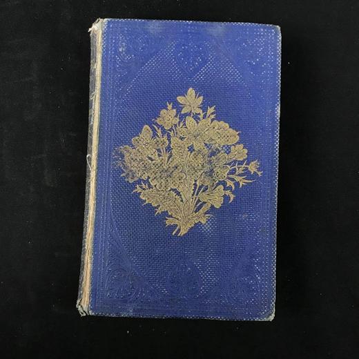 1859年 野花图鉴 8页套色版画171幅黑白版画插图 漆布精装64开 商品图2