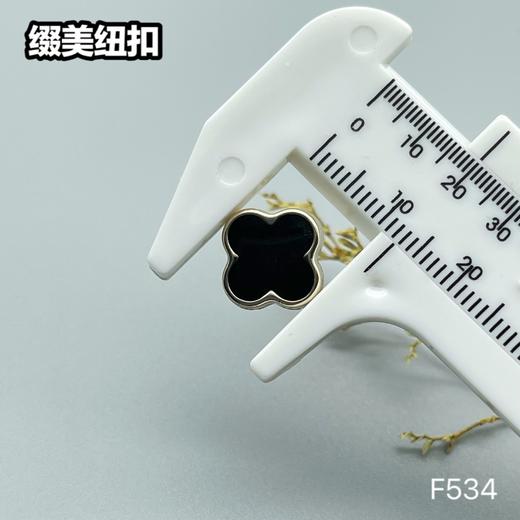 F534(整包购买) 商品图3