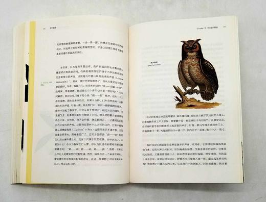 博物图鉴：《瓦尔登湖》+《鸟的魅力》，梭罗等著，华中科技大学出版社2018年版 商品图13
