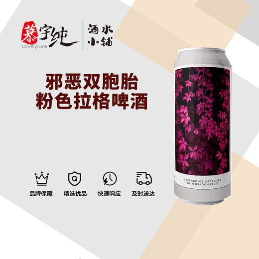 邪恶双胞胎粉色拉格啤酒 商品图0