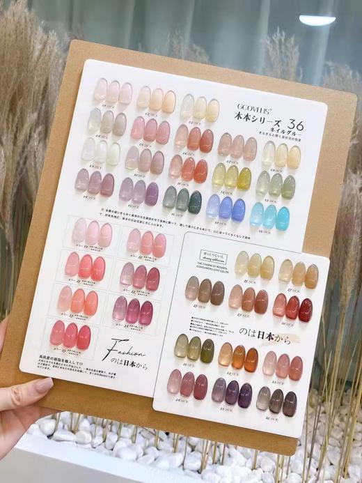 木本透色36色小套（秒杀） 商品图0