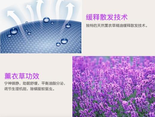 原装进口-澳大利亚EasyRest薰衣草羊毛枕头舒适助眠护颈椎 商品图3