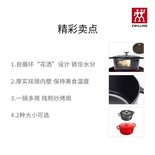积分换购 | 预售 | 双立人 SA-P009铸铁锅24CM[福利品] 商品图2
