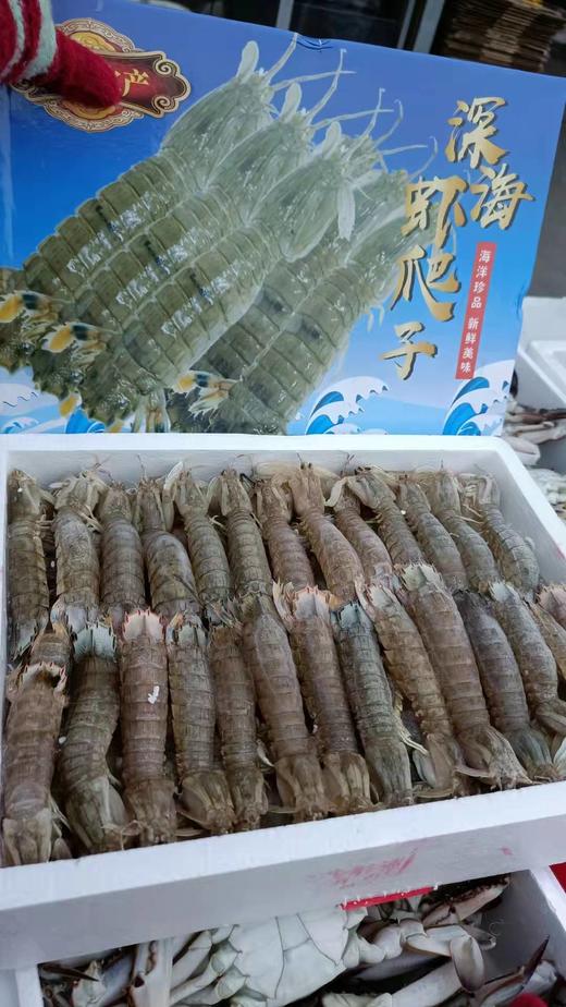 深海虾爬子一箱（拼团） 商品图4
