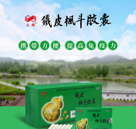 立钻 铁皮枫斗胶囊0.3g*10粒*10盒益气养阴养胃生津 商品图0