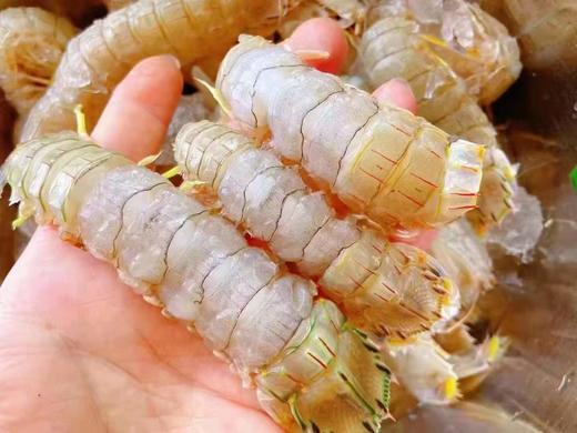 深海虾爬子一箱（拼团） 商品图2