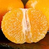 【广西武鸣沃柑】 皮薄香甜 水分充足 现摘现发 应季水果 商品缩略图4
