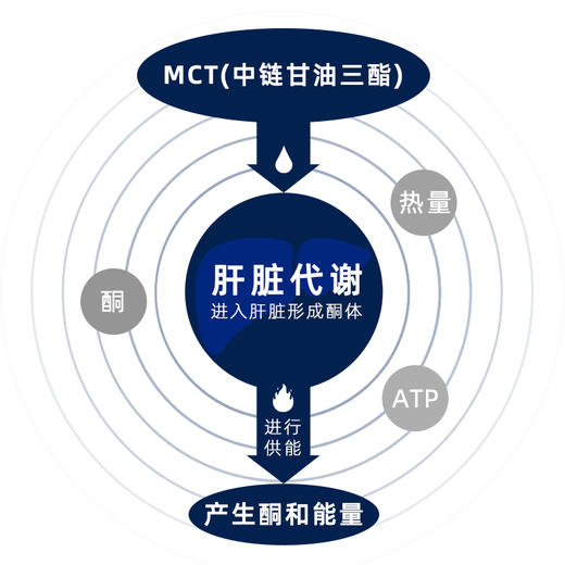 【⏰临期25年2月到期】【闪电旗舰店】【第二件半价】MCT油7g*20支 商品图3