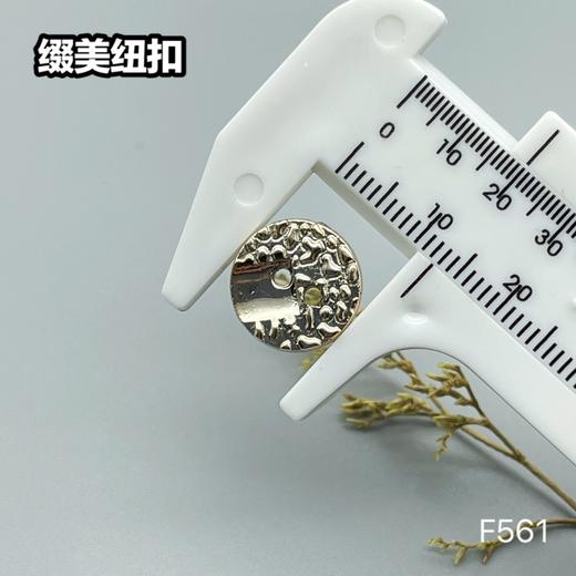 F561(整包购买) 商品图2