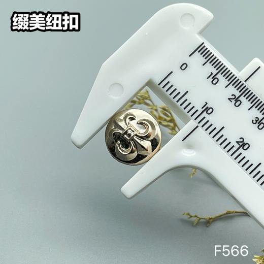 F566(整包购买) 商品图3