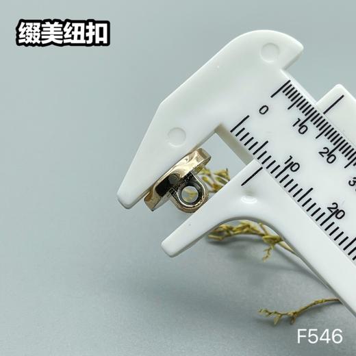 F546(整包购买) 商品图4