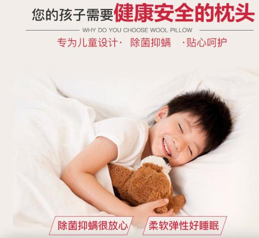 原装进口-澳洲EasyRest健康卫士儿童枕头可水洗枕芯可烘干 商品图3