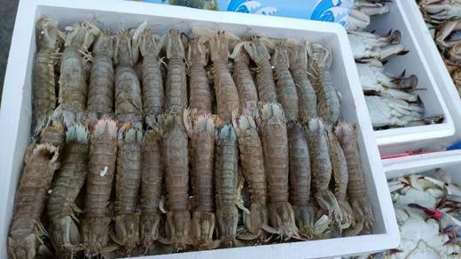 深海虾爬子一箱（拼团） 商品图3