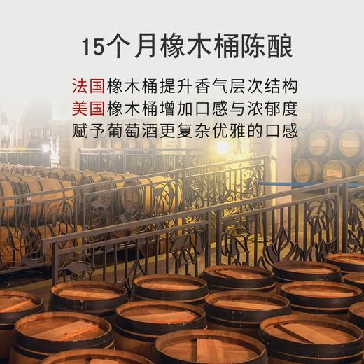 TY奔富BIN Max 750ml/瓶*6【鲜知20.0】 商品图4