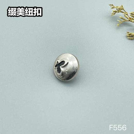 F556(整包购买) 商品图1