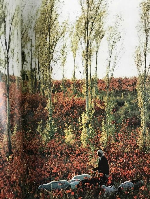 1973年下半年合订本 国家地理杂志 约千幅彩色插图 精装16开 商品图4