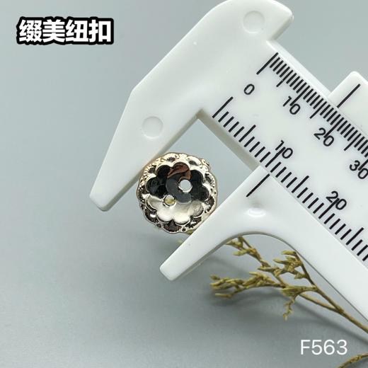 F563(整包购买) 商品图2