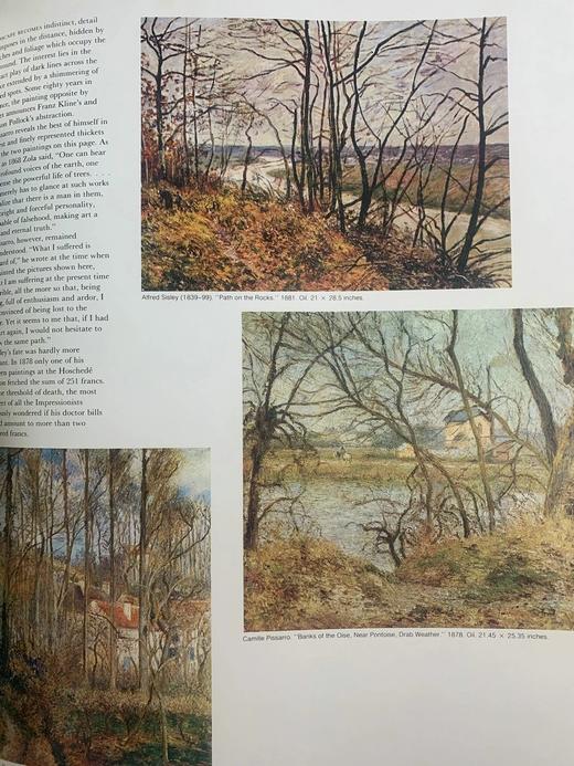 印象派画集 364幅彩色与132幅黑白插图 精装大16开 商品图13