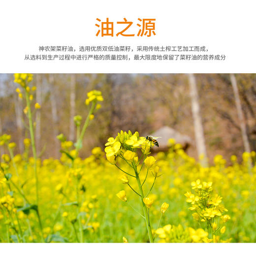【助农】神农架土榨菜籽油5L 商品图4