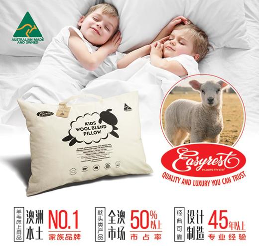 原装进口-澳洲EasyRest健康卫士儿童枕头可水洗枕芯可烘干 商品图0