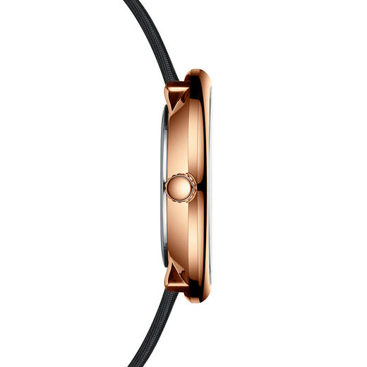 【ROROLOVE】邂逅Enchanted系列 明星同款 天然钻石手表女个性镶钻女表礼物（11颗钻石）赠原装网带 商品图2