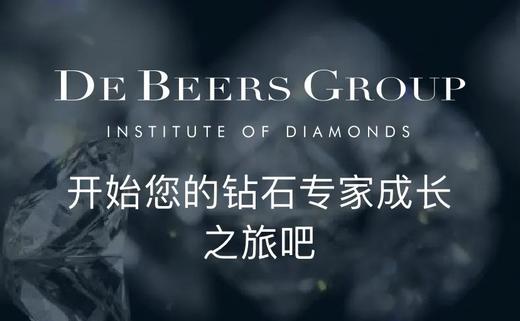 戴比尔斯线上钻石课程 商品图0