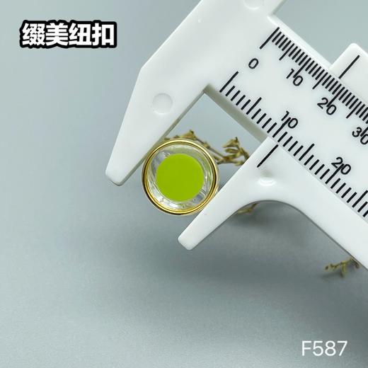 F587(整包购买) 商品图10