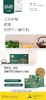 【年货节】铁皮石斛叶粉 商品缩略图3