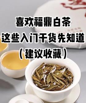 弘通禅茶丨喜欢福鼎白茶的茶友，这些入门必知基础知识
