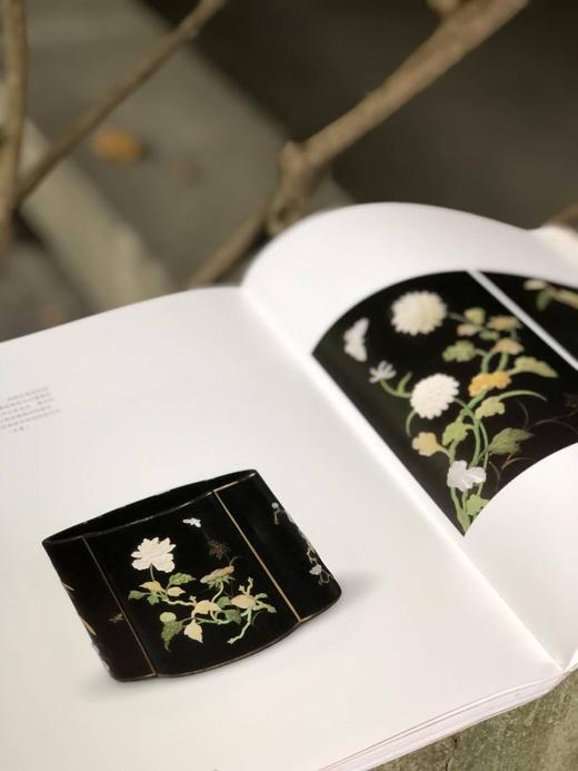 《朱艳华绮：故宫博物院藏乾隆朝漆器展》，精装16开，故宫博物院、嘉德艺术中心编，河北教育出版社2021年7月版，定价368，售价248元。 商品图1