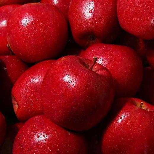 新疆红肉苹果 商品图3