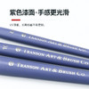 中盛画材 810尼龙紫色短杆 水粉笔/油画笔/丙烯笔/水彩笔批发 商品缩略图3