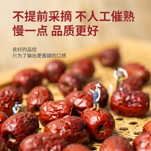 【拼团巨惠】越远熊追不舍新疆无核红枣干货干果即食休闲小包装零食香酥脆枣 商品图1