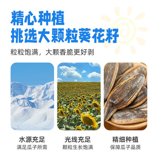 【拼团巨惠】越远熊追不舍袋装瓜子山核桃味葵花籽海盐味炒货焦糖味休闲零食80g*6包 商品图3