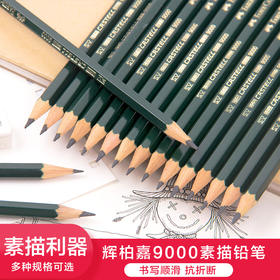 德国Faber-castell 辉柏嘉 9000专业绘图铅笔 