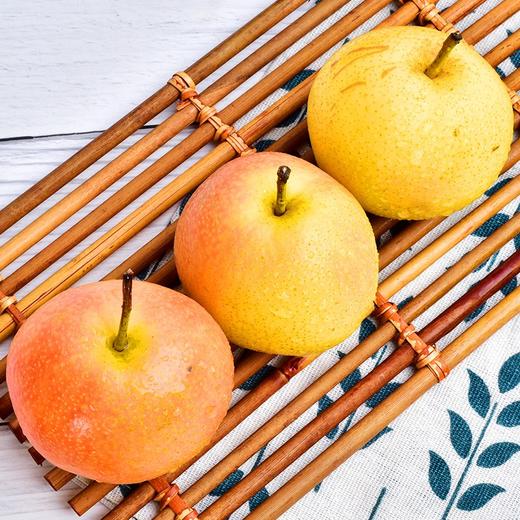 鞍山南果梨5斤 商品图3