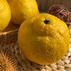 象山青（黄金贡柚） 商品缩略图10