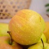 隰县玉露香梨4.5斤/5斤/8斤 商品缩略图4