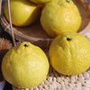 象山青（黄金贡柚） 商品缩略图3
