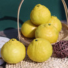 象山青（黄金贡柚） 商品缩略图11
