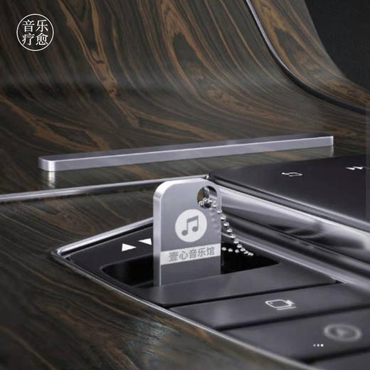 壹心音乐U盘 ，3000首高品质纯音乐，车载音乐U盘。高清MP3格式 商品图5