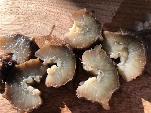 大连野生即食海参1斤装<10根> 免泡发解冻即食 自然慢生长 肉厚弹牙 富含营养 黄金北纬39度优质产区 商品图2