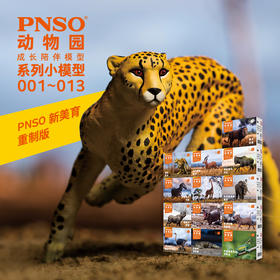 PNSO非洲动物明星小模型13件动物园成长陪伴儿童益智玩具001~013