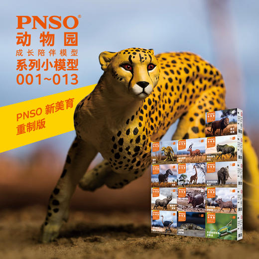 PNSO非洲动物明星小模型13件动物园成长陪伴儿童益智玩具001~013 商品图0