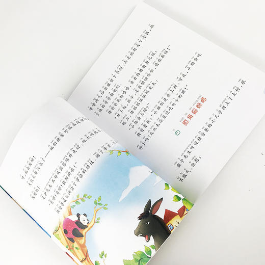 【6-12岁】熊猫噜噜奇遇记美绘注音版 商品图4