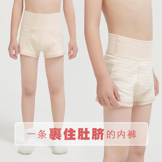 【A类品质】儿童护肚内裤彩棉高腰平角裤男童女童可穿 商品图0