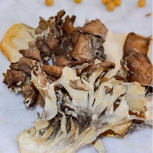 【乡吾农品】有机灰树花（70g） 商品图1