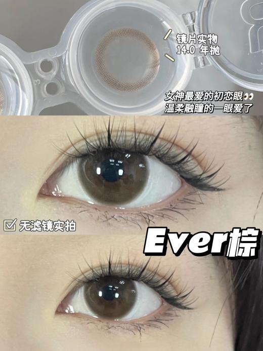 【日抛】Ever.G Brown·初恋眼·Bebebest丨14.2mm（日抛/一盒10片装） 商品图7